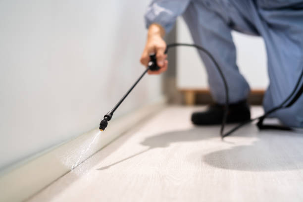 Bed Bug Pre-Treatment Preparation Assessment in Lake Linden