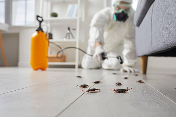 Post-Treatment Bed Bug Interceptor Monitoring in Lake Linden