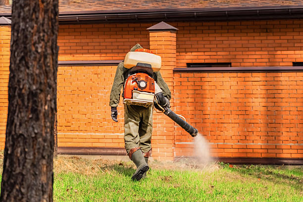 Bed Bug Clearance Verification and Documentation in Lake Linden